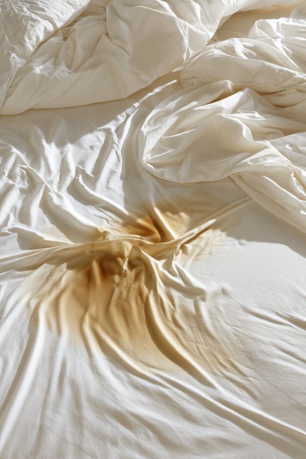 clean pee stains 1