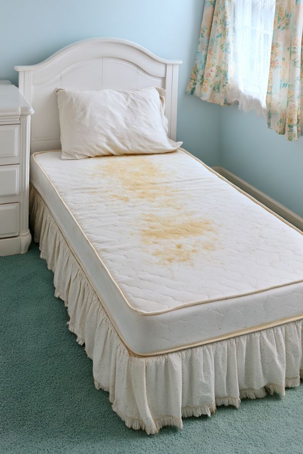 clean pee stains 23