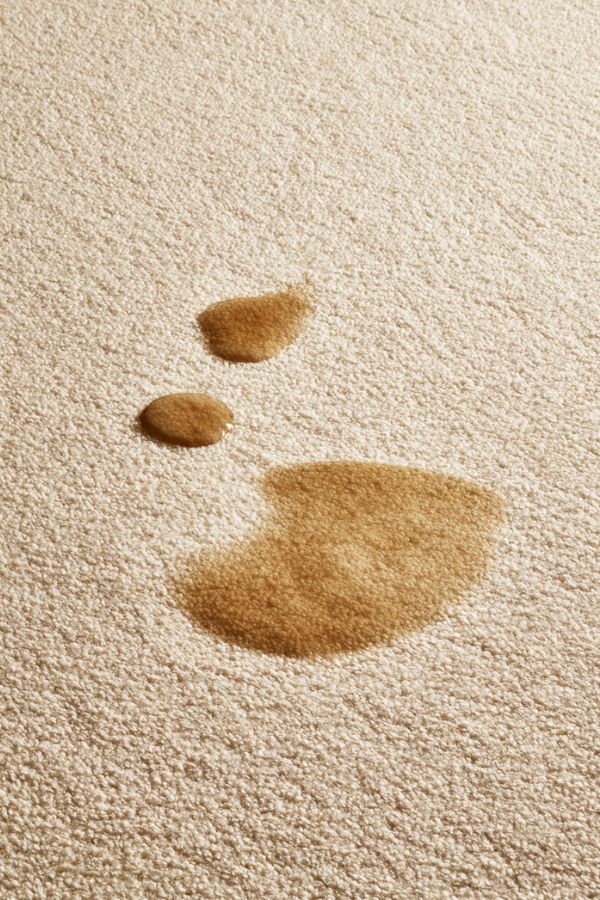 clean pee stains 8